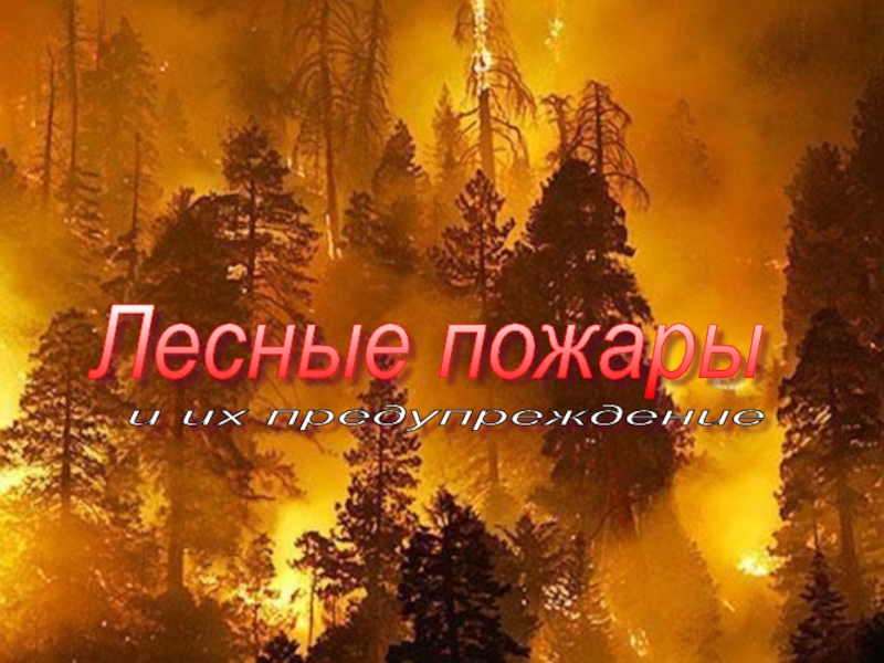 Лесные пожары и их предупреждение
