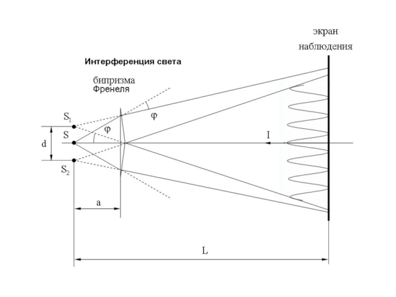 Источник света линза. Бипризма Френеля ход лучей. Зеркало Ллойда и бипризма Френеля. Ширина интерференционной полосы в бипризме Френеля. Схема бипризмы Френеля.