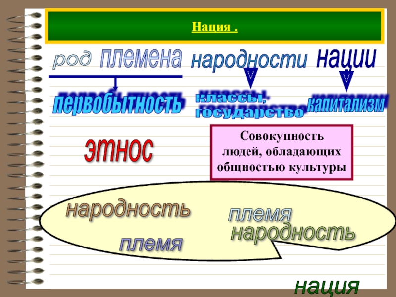 Национальность род. Племя народность нация. Род племя народность нация. Этнос род племя народность нация. Народность племя нация род Каста.