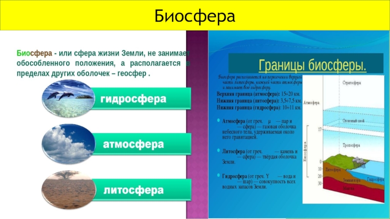 Нарисуйте схему связь биосферы с другими оболочками земли