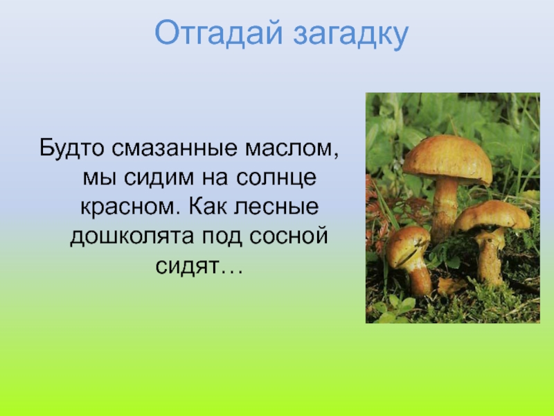 Загадка 700. Загадка семьсот соловьят на подушках сидят. Отгадка на загадку семьсот соловьят на подушках сидят. Загадка семьсот соловьят. Загадки на загадки 700 соловьят на подушках сидят.