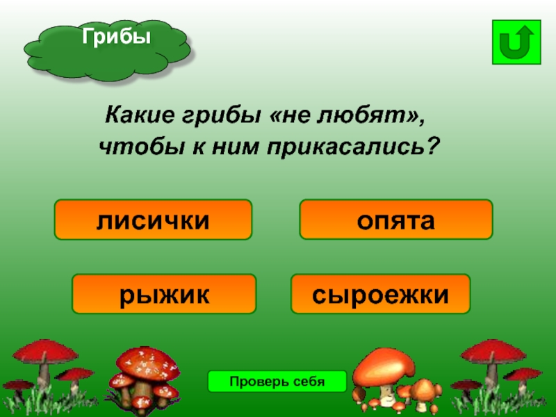 Грибы являются. Какой гриб является культурным?. Какие грибы не любят чтобы к ним прикасались. Какие грибы какие.