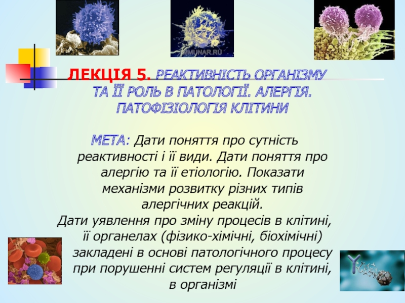 ЛЕКЦІЯ 5. РЕАКТИВНІСТЬ ОРГАНІЗМУ ТА ЇЇ РОЛЬ В ПАТОЛОГІЇ. АЛЕРГІЯ