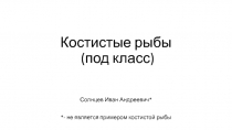 Костистые рыбы (под класс)