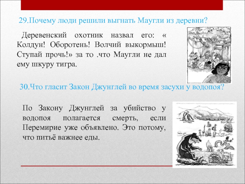 Маугли краткое содержание для читательского дневника