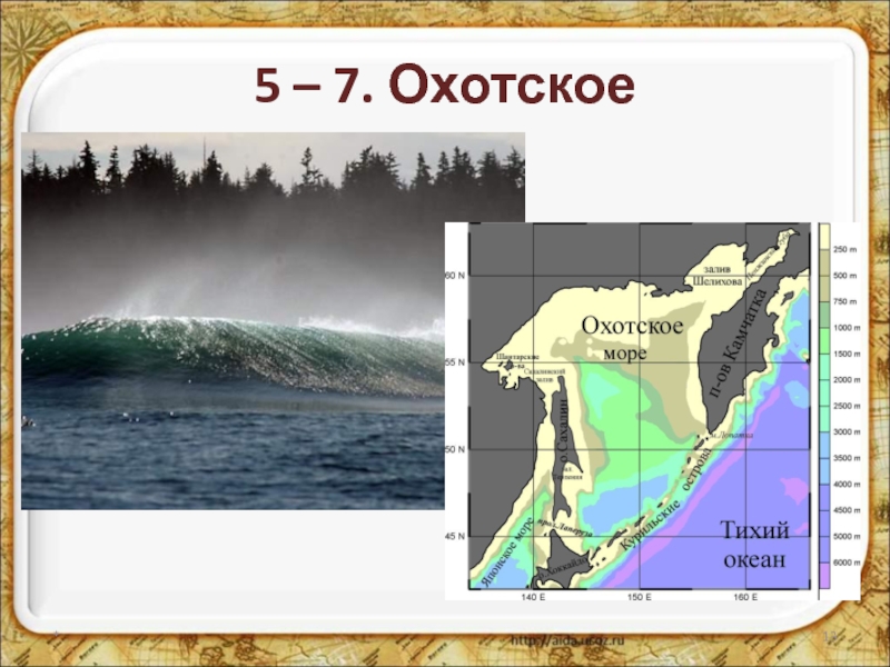 Охотское море презентация 9 класс