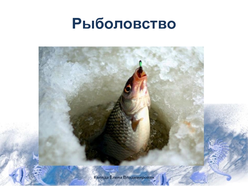 РыболовствоКоляда Елена Владимирован