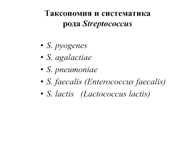 Систематика рода. Стрептококки таксономия. Стрептококк пиогенес таксономия. Стрептококки систематика. Streptococcus pyogenes таксономия.