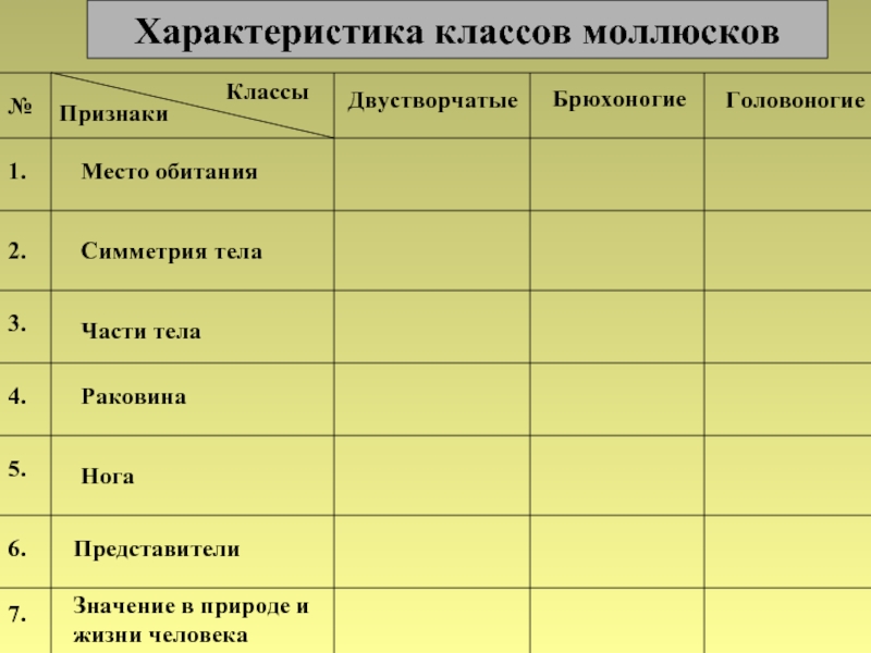 Тип моллюски класс брюхоногие и класс двустворчатые моллюски презентация 7 класс