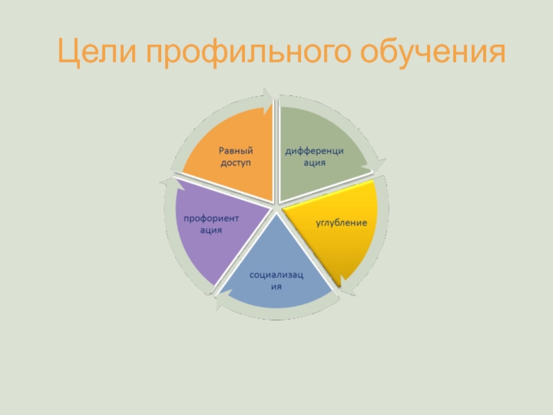 Профильное обучение. Цели профильного образования. Цель профильного обучения в старшей школе. Целей профильного обучения истории является. Как достигнуть цели в профильном образовании.