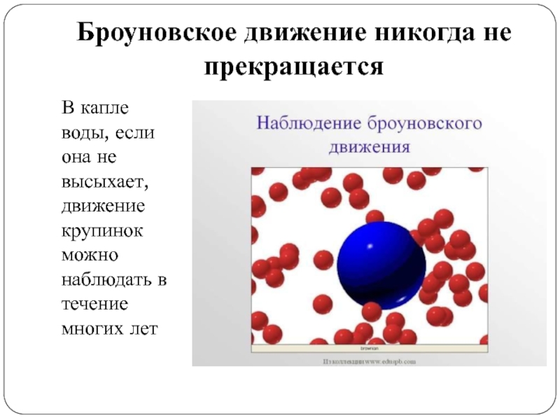 Броуновское движение презентация