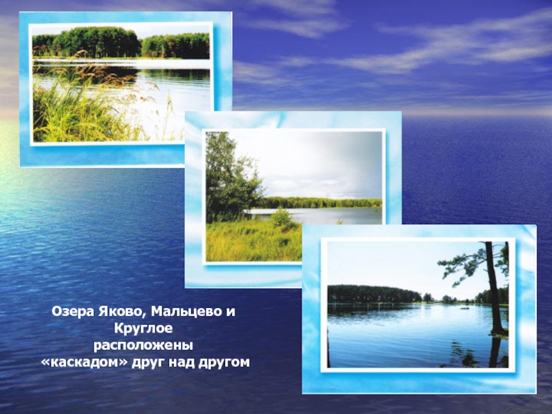 Исследовательская работа озеро. Озеро Мальцево Самусь. Озеро Яково. Озеро Мальцево Томская область. Озеро круглое презентация.