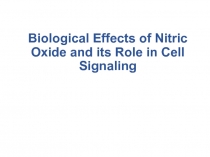 Biological Effects of Nitric Oxide and its Role in Cell Signaling