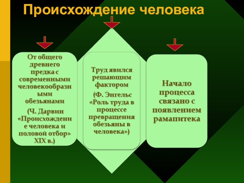 Происхождение человеческого общества