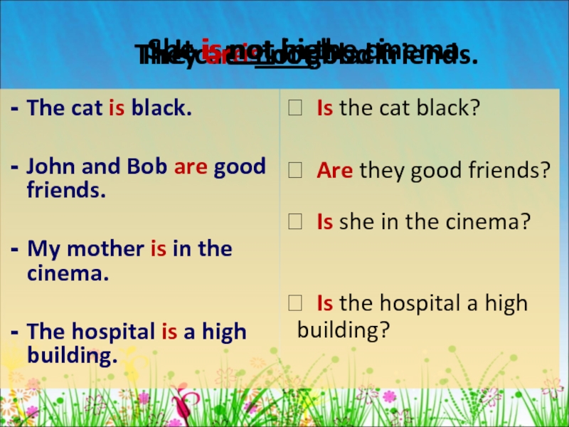 The cat is black.John and Bob are good friends.My mother is in the cinema.The hospital is a