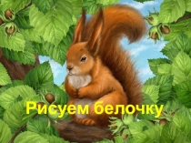 Рисуем белочку