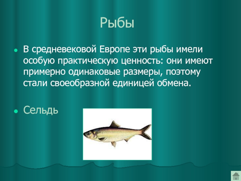 Коле стало интересно чему примерно равен. Средневековая рыба. Рыбы и млекопитающие отличия. Загадка про селедку. Перепромысел рыбы.
