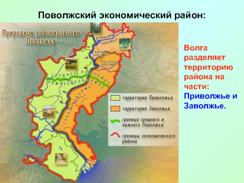 Поволжский экономический район:Волга разделяет территорию района на части: Приволжье и Заволжье.