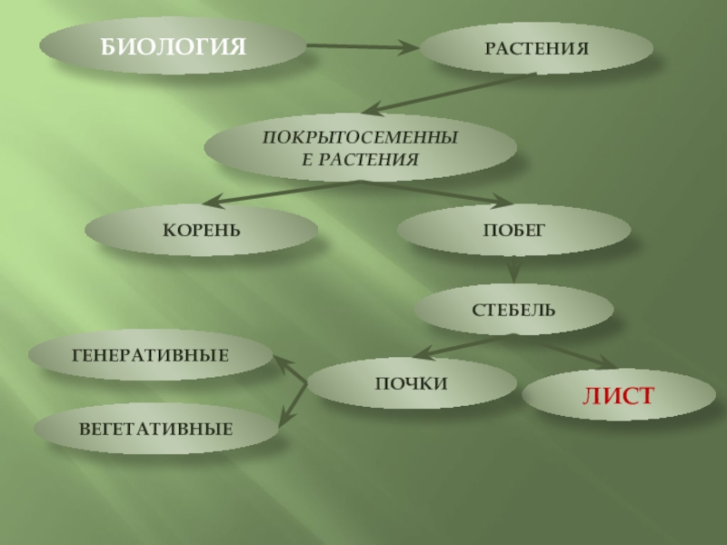 Презентация к уроку по теме 