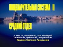 ПИЩЕВАРИТЕЛЬНАЯ СИСТЕМА