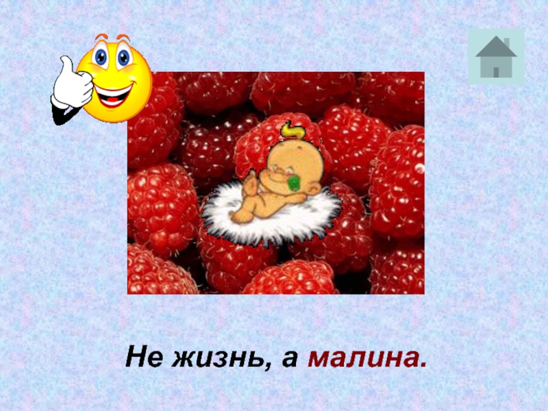 Картинки не жизнь а малина