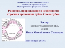 Развитие, прорезывание и особенности строения временных зубов. Смена зубов