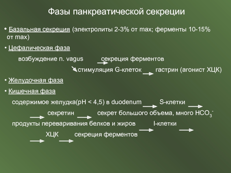 Фазы желудочной секреции презентация