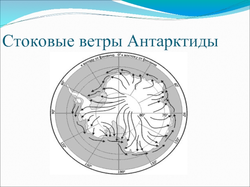 Стоковые ветры. Схема образования стоковых ветров Антарктиды. Стоковые ветры Антарктиды. Восточные стоковые ветры. Направление стоковых ветров в Антарктиде.