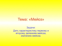 Мейоз