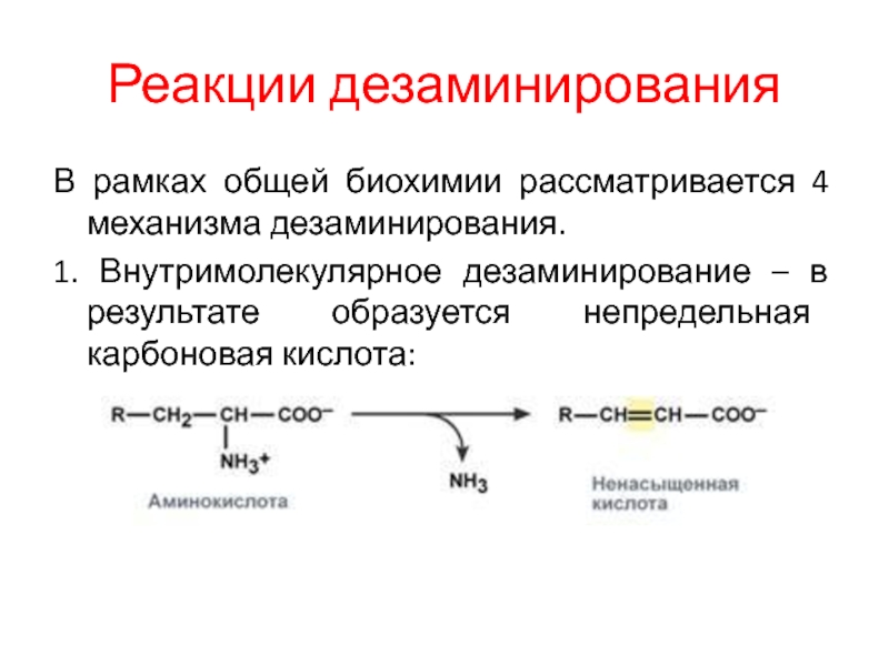 Биохимические реакции