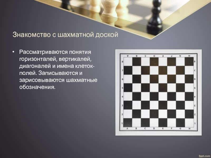 Шахматная доска диагонали. Горизонталь Вертикаль диагональ в шахматах. Диагональ горизонталь Вертикаль на шахматной доске. Горизонталь в шахматах. Шахматная диагональ.