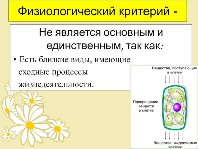 Физиологические критерии здоровья