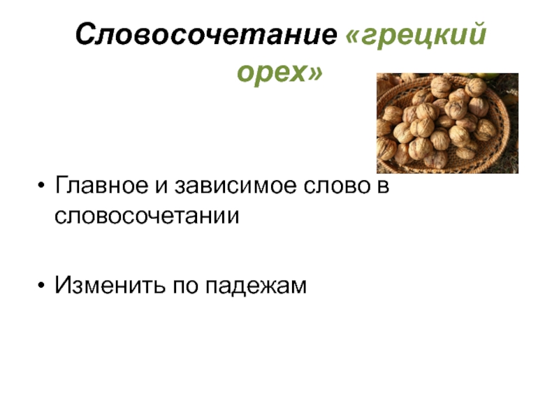 Словосочетание «грецкий орех»Главное и зависимое слово в словосочетанииИзменить по падежам