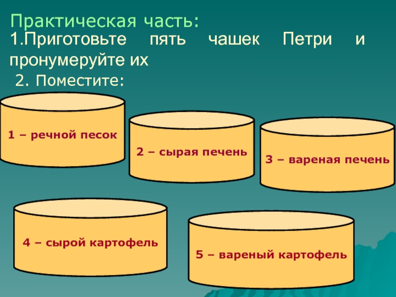 1 испек. Ферменты 10 класс.