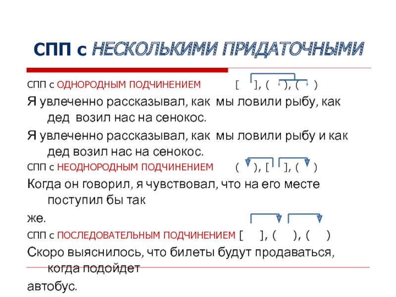 Сложноподчиненное предложение с несколькими придаточными презентация