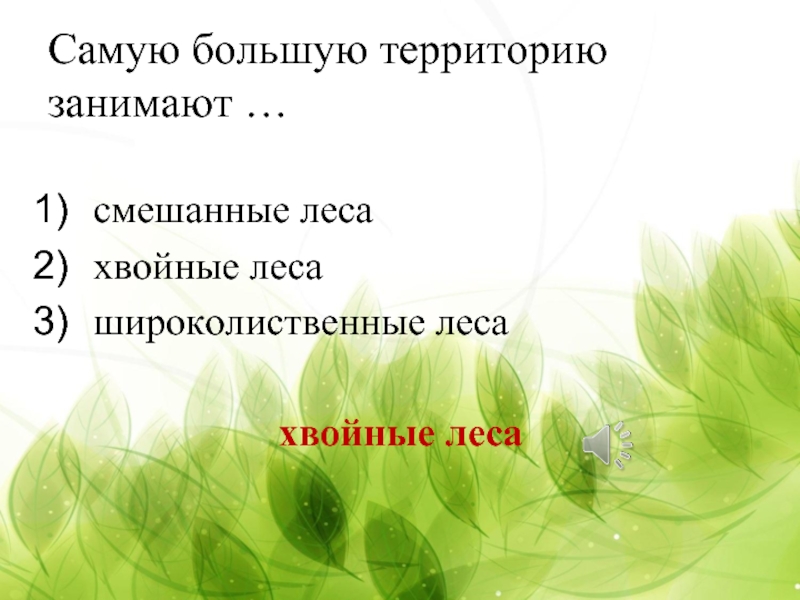 Какие леса занимают. Самую большую территорию занимают леса. Самую большую территорию занимают какие леса. Самые большую территорию занимают хвойные леса. Самая большая территория лесов занимает.