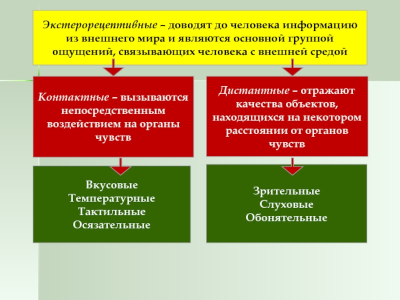 Непосредственного воздействия на органы чувств. Контактные ощущения примеры. Экстерорецептивные ощущения это в психологии. Виды ощущений дистантные контактные. Контактные экстерорецептивных ощущений.