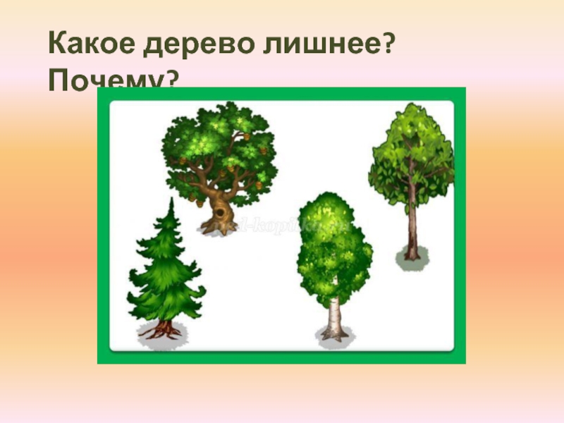 Какое дерево картинка. Четвертый лишний деревья. Что лишнее деревья. Четвертый лишний деревья для дошкольников. Найди лишнее дерево.