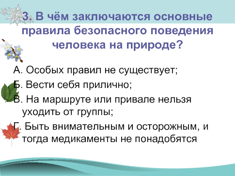 Правила безопасного поведения в природе презентация