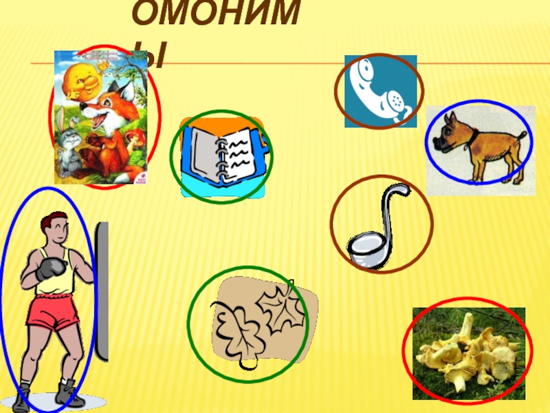 Найдите пары омонимов. Омонимы. Омонимы картинки. Рисунок на тему омонимы. Омонимы картинки 5 класс.