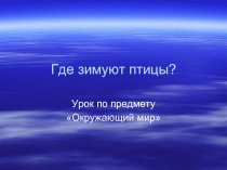 Где зимуют птицы?