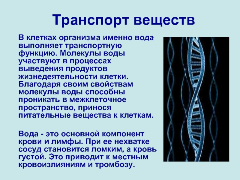 Ток в живых организмах