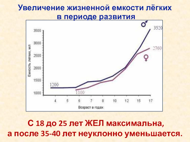 Как увеличить жизненную емкость легких