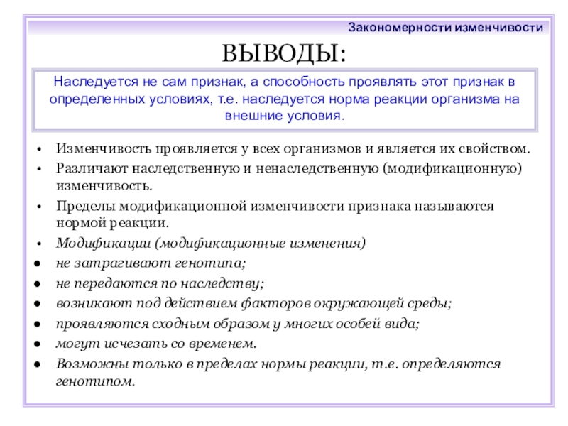 Закономерности изменчивости презентация