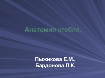 Анатомия стебля