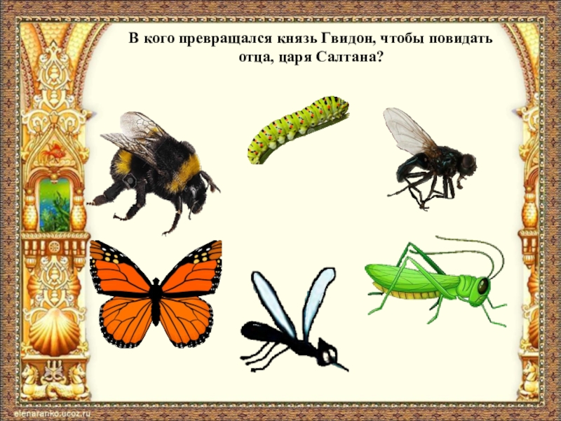 В кого превращался царь салтан. В каго преврвщался князь Гвидон. В кого превращался князь Гвидон. Превращение князя Гвидона. Комар Муха Шмель из сказки о царе Салтане.