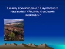 Корзина с еловыми шишками К. Паустовский