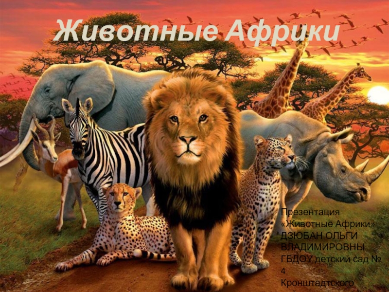 Презентация Животные Африки