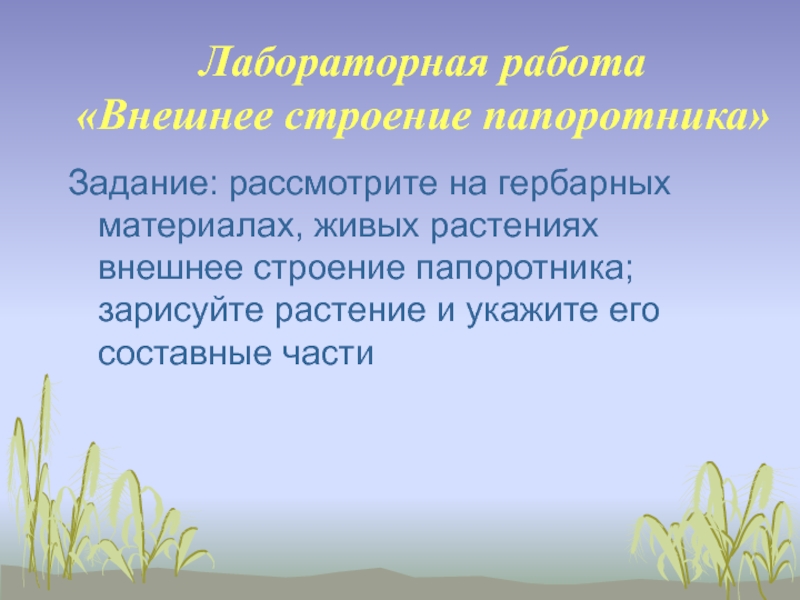 Лабораторная работа папоротники 7 класс. Внешнее строение папоротника лабораторная. Лабораторная работа строение папоротника. Лабораторная работа изучение внешнего строения папоротника вывод. Изучение внешнего строения папоротника лабораторная работа 6 класс.