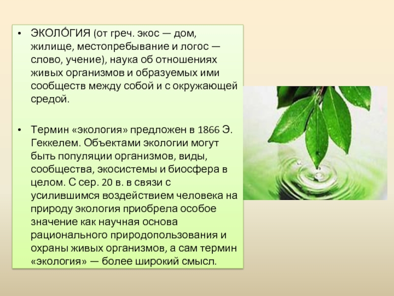 Вопросы по экологии 5 класс. Экология Экос Логос. Экология 5 класс. Экос дом Логос наука. Экология от каких слов.